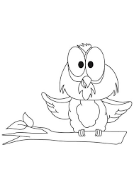 Human, eye, anatomy, worksheet, coloring, page Funny Big Eye Owl Coloring Page Download Print Online Coloring Pages For Free Color Nimbus