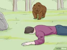 The mauling of bob legasa, 57, in the. How To Survive A Bear Attack 11 Steps With Pictures Wikihow
