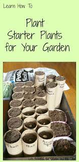 How To Plant Starter Plants For Your Garden Home Vegetable Garden Vegetable Garden Organic Vegetables