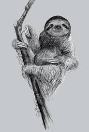 Sloth Art Drawing Etsy In 2020 Sloth Art Charcoal Drawing Animals Sloth Drawing