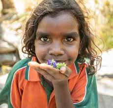 Gija Healthy Skin Story Berrembi jarragboo-boorroo wajawoorroo men'gawoom  Gijam