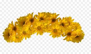 Flower Yellow Color Flower Crown Flower Crown Yellow Flower Crown Flower Art