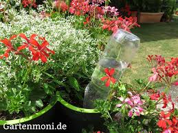 Kubelpflanzen Auf Balkon Und Garten Immer Mit Wasser Versorgen Gartenmoni Altes Wissen Bewahren Kubelpflanzen Pflanzen Garten