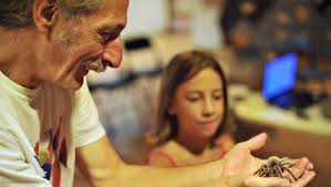 Photos: Splendid spiders at Churchville Nature Center