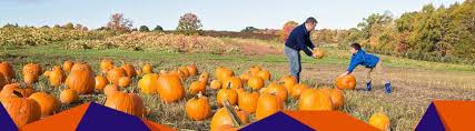 Besides eating pumpkins the indians also dried strips of pumpkin and used them for what purpose? Halloween Trivia Pumpkin Ideas To Try At Home