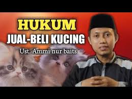 Apa hukum jual beli kucing ? Hukum Jual Beli Kucing Ras Kucing Hias Dalam Islam Youtube