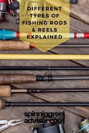 Different Types Of Fishing Rods Reels Explained Types Of Fish Fishing Rods And Reels Best Fishing Rods