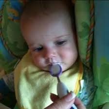 Lucky Labs Dog Training, Alexandria, VA 22206, US