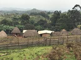 Affaire de terrains de la Vallée du Ntem : C'est l'Etat qui attribue des  unités forestières d'aménagement