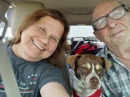 Aldi Christmas Party Dessert and Snack Ideas