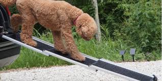 Hunderampen Fur Grosse Hunde In 2020 Hunderampe Hund Unter Treppe Grosse Hunde