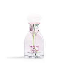 写真3 7 ロクシタンの エルバブランシュ みずみずしいフローラルの限定香水 ボディケア ロクシタン 香水 ボディケア