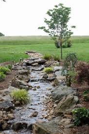 A rain garden is suitable for any garden where there are roofs from which to collect rain water, house roof and the roofs of outbuildings. 54 Best Design And Easy Steps To Make A Rain Garden 2020 My Lovely Home Design Water Features In The Garden Landscape Design Dry Creek Bed