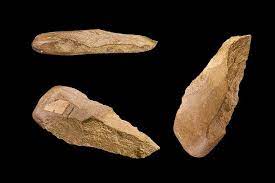 Gambar buah buahan (jambu batu). Peralatan Manusia Purba Dan Fungsinya Halaman All Kompas Com