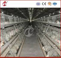 Mejor jaula para pollos China Casa de madera para gallinas Fabricación de  jaulas automáticas para pollos de engorde OEM personalizadas ISO9001: 2008  Certificación Mejores casas para gallinas