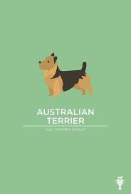 Australian Terrier Art Print Australian Terrier Terrier Silky Terrier