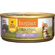 How Much To Feed A Kitten Kitten Food Portions And Feeding Schedule Bechewy