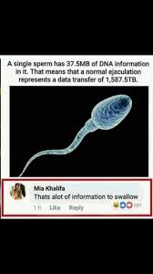 Pin On Adult Humor Memes