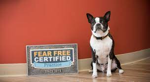 Is there a veterinary hospital in sutton ma? Our Vision In Boston Ma Boston Veterinary Clinic