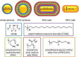 However, the researches on gold nanoparticles toxicity still remain fragmentary and even contradictory with each other. One Low Dose Exposure Of Gold Nanoparticles Induces Long Term Changes In Human Cells Pnas