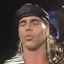 Shawn Michaels Pamela Anderson