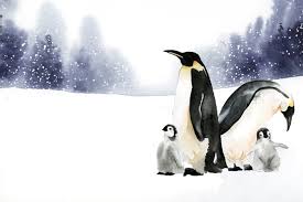 Weitere ideen zu pinguine, pinguin illustration, pinguin kunst. Bilder Pinguine Gratis Vektoren Fotos Und Psds