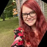 40+ "Sarah Lin" profiles