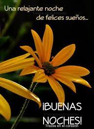 Buenas Noches Plants Buena