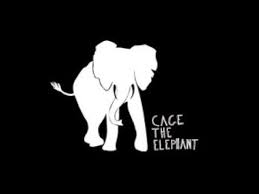 Cage The Elephant Cold Cold Cold Pin On Music