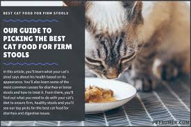 The type of signs your cat is having can pinpoint the problem area in his body. 11 Best Cat Foods For Firm Stools In 2020