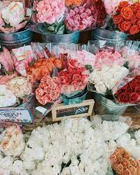 Flower Shopping At Trader Joes Blooms Traderjoes Roses Flowers Facts About Plants Flower Shop