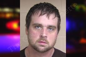 Tanner Collins — Walker County Jail Bookings