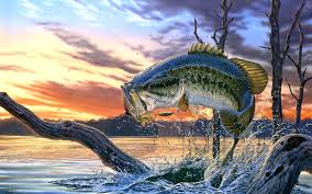 Bass Fishing Wallpapers Hd Lake Sunset Painting Fishing Pictures Fish