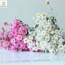We did not find results for: Wholesale Hot Sale Artificial Natural Processed Dried Daisy Flowers Real Touch For Diy Wedding Party Decoration Buy Dried Flowers Dried Daisy Dry Flower Bouquet Product On Alibaba Com