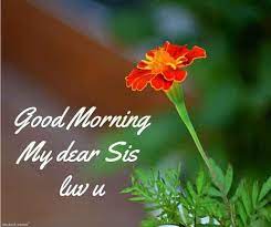 We did not find results for: 40 Good Morning Pictures For Sister