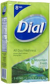 Choose from contactless same day delivery, drive up and more. Amazon Com Dial Bar Soap Mountain Fresh 4 Oz 8 Ct Beauty