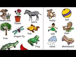 living things lessons tes teach