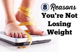 8 reasons why you re not losing weight