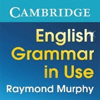 Raymond Murphy English Grammar In Use Third Edition скачать бесплатно English Grammar In Use 4pda