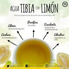 Agua Tibia Con Limon Para Bajar De Peso Alimentos Saludables Bajar De Peso Bebidas Saludables Bajar De Peso Te Para Bajar De Peso