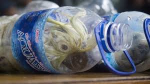 Bagi sobat ico yang merasa penasaran dengan video aslinya sobat bisa mendapatkannya dibawah ini ⏬ ⏬ ⏬. Kakak Tua Diselundupkan Dengan Cara Dimasukan Ke Botol Mineral Bangka Pos