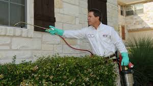 Look no further than performance pest management. Abc Home And Commercial Services 5415 Theall Rd Houston Tx 77066 Usa