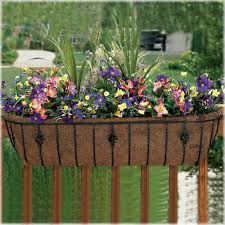 Pretty planters for a kitchen garden are easy to make with this tutorial. Cobraco 36 Antoinette Horse Trough Planter Outdoor Living Outdoor Decor Planters