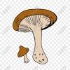 We did not find results for: Https Encrypted Tbn0 Gstatic Com Images Q Tbn And9gcsb6mag0rxaqsmoiczt85wjbjkzickabjvrvjgnbcdnlnquwd3e Usqp Cau
