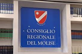 Trend Google: molise