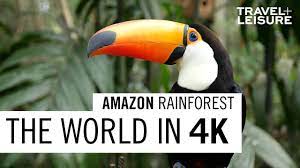 Amazon Rainforest The World In 4k Travel Leisure Youtube