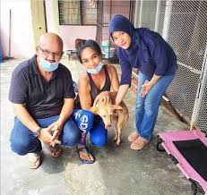 There is a muslim tradition. The Malaysian Couple Fighting Social Stigma Against Dogs By Rescuing Injured Animals Cna