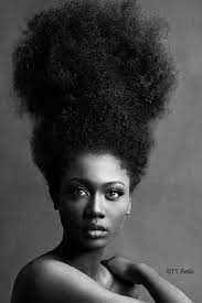Tall Natural And Beautiful Afro Updo Natural Hair Styles Black Beauties Black Natural Hairstyles