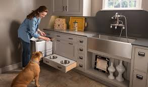 kitchen cabinetry & design trends