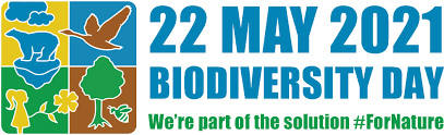 We did not find results for: 22 May 2021 International Day For Biological Diversity